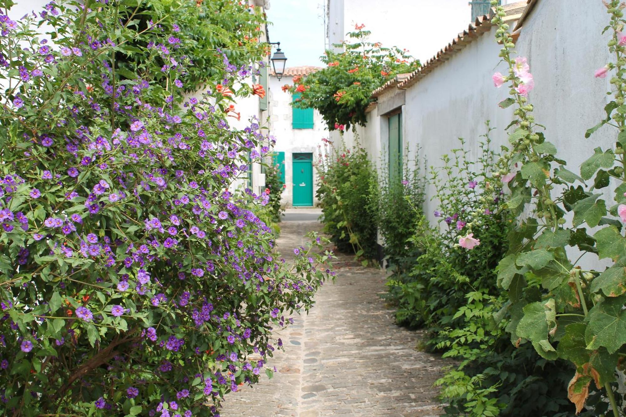 Le Clos Des Vieux Moulins Ла-Флотт Екстер'єр фото